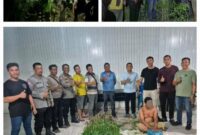 Petugas kepolisian dari Polsek Tanjung Morawa berhasil mengamankan seorang tersangka beserta puluhan batang tanaman ganja dan paket ganja siap edar dalam pengungkapan kasus narkotika di Kabupaten Deli Serdang, Sumatera Utara.