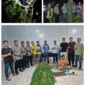 Petugas kepolisian dari Polsek Tanjung Morawa berhasil mengamankan seorang tersangka beserta puluhan batang tanaman ganja dan paket ganja siap edar dalam pengungkapan kasus narkotika di Kabupaten Deli Serdang, Sumatera Utara.