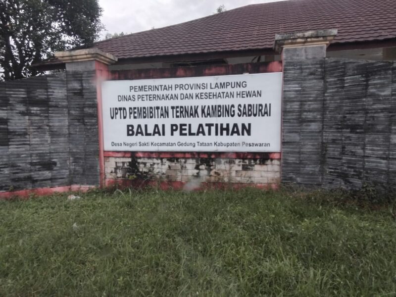 Papan identitas UPTD Pembibitan Ternak Kambing Saburai Balai Pelatihan milik Dinas Peternakan dan Kesehatan Hewan Provinsi Lampung di Kabupaten Pesawaran yang menjadi perhatian publik terkait dugaan jual bebas kambing aset daerah.