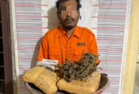 Personel Polsek Bahorok berhasil mengamankan seorang tersangka beserta barang bukti ganja seberat 2,14 kilogram dalam pengungkapan kasus narkotika di kawasan Bukit Lawang, Kabupaten Langkat.