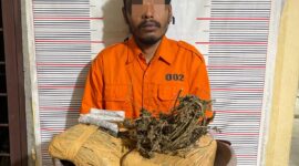 Personel Polsek Bahorok berhasil mengamankan seorang tersangka beserta barang bukti ganja seberat 2,14 kilogram dalam pengungkapan kasus narkotika di kawasan Bukit Lawang, Kabupaten Langkat.