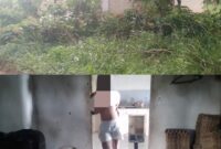 Tim media melakukan investigasi dugaan penimbunan BBM subsidi jenis Pertalite dan Solar di Kecamatan Way Bungur, Lampung Timur.