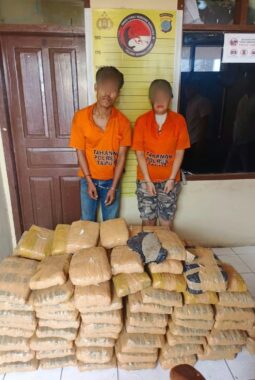 Dua Orang Diamankan Setelah Kecelakaan di Siborongborong, Polisi Sita 112 Paket Diduga Ganja Kering